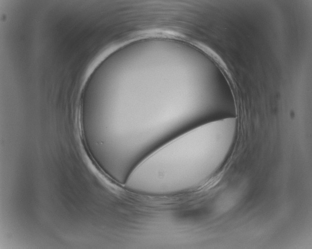 X0000078861391200611130948