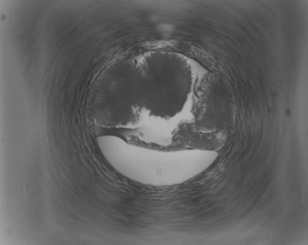X0000078861393200611130948
