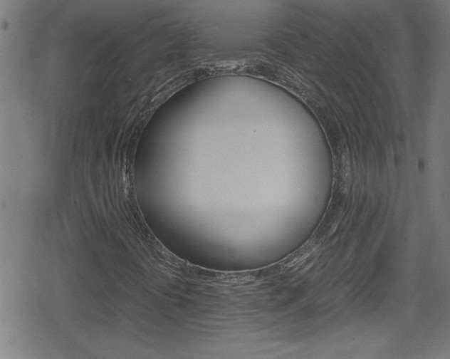 X0000078861394200611130948