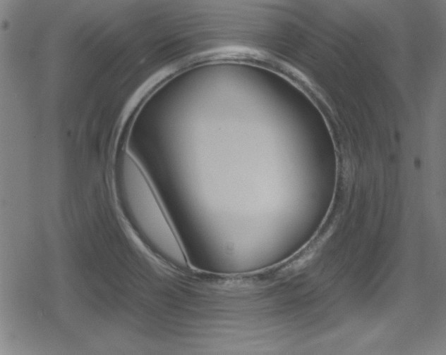 X0000078861418200611130948