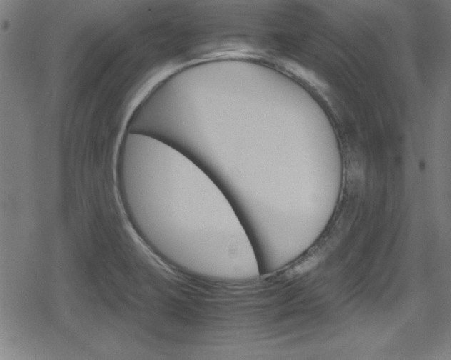 X0000078861423200611130948