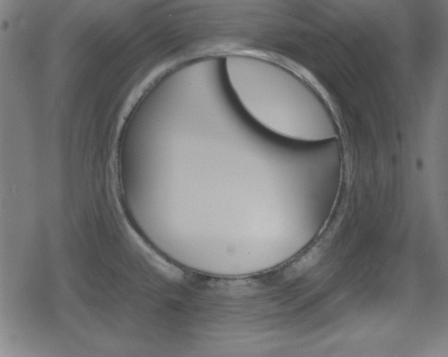 X0000078861432200611130948