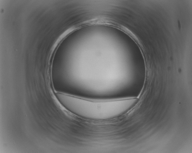 X0000078861434200611130948
