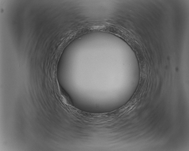 X0000078861441200611130948