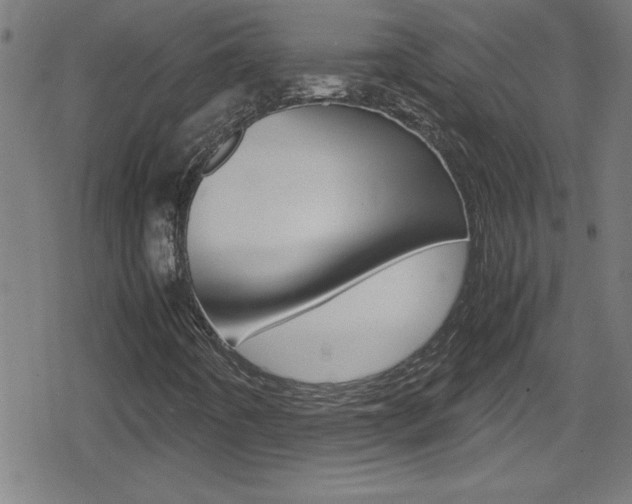 X0000078861442200611130948