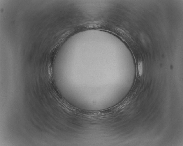 X0000078861444200611130948