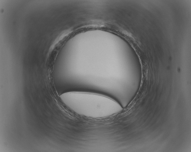X0000078861448200611130947