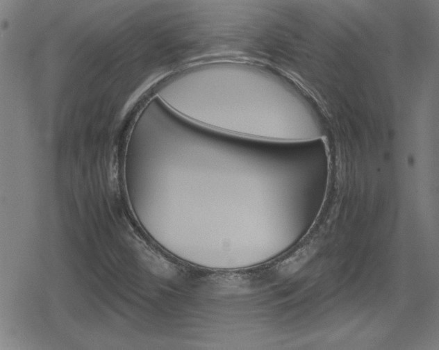 X0000078861450200611130947