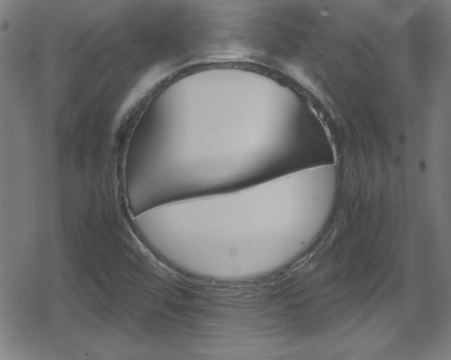 X0000078861456200611130947