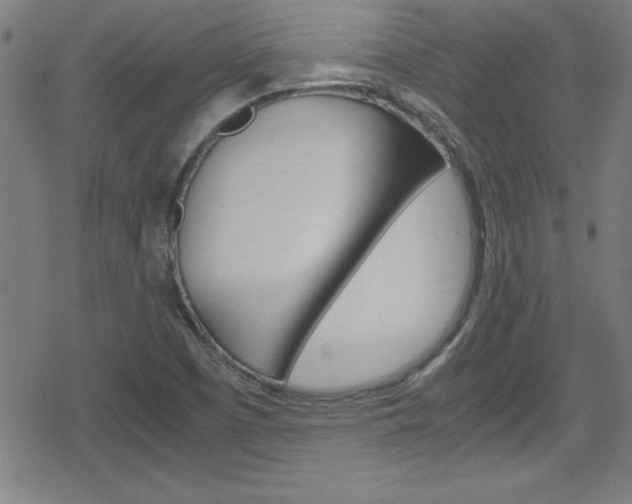 X0000078861457200611130947
