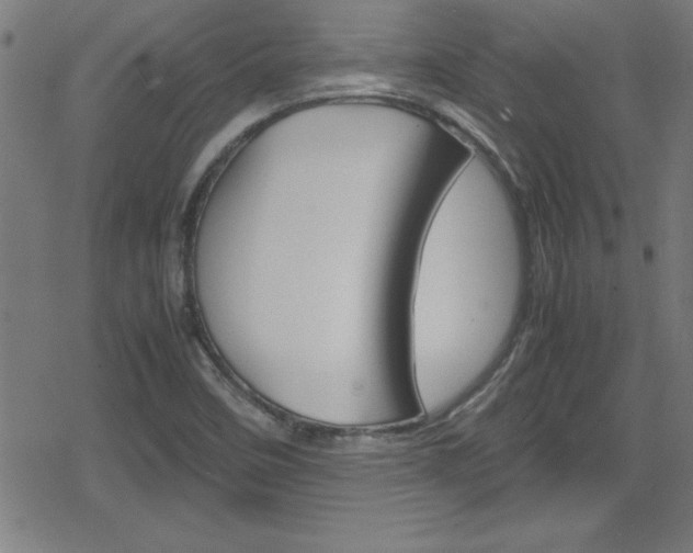 X0000078861458200611130947
