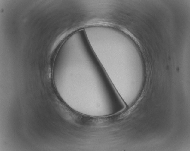 X0000078861461200611130947