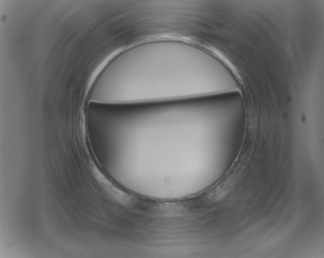 X0000078861476200611130947