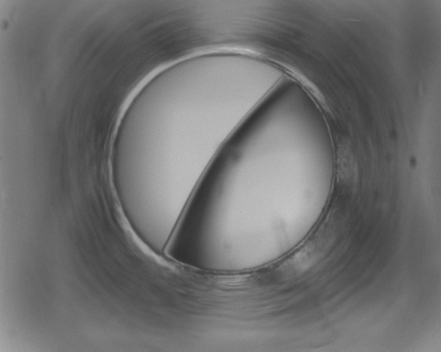 X0000078861484200611130947