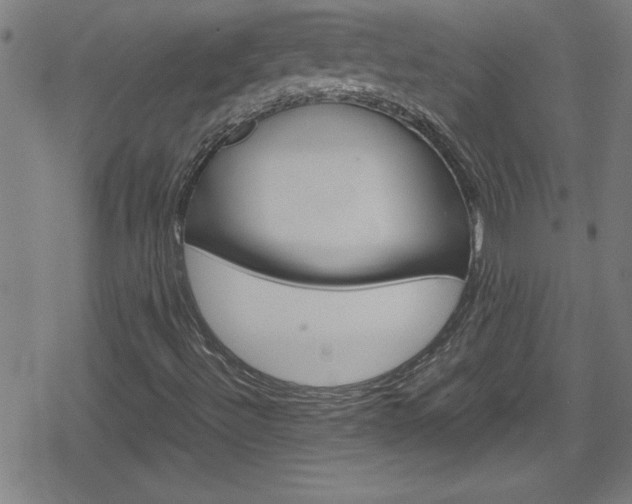 X0000078861492200611130946