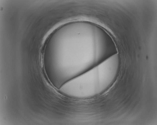X0000078861510200611130946