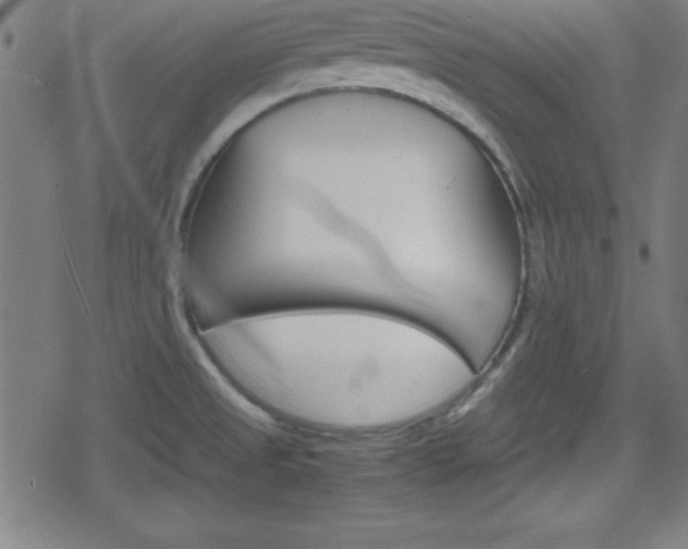 X0000078861525200611130947