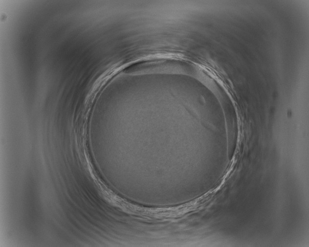 X0000078860001200611131215