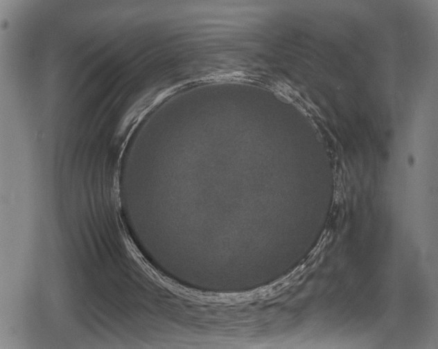 X0000078860002200611131215