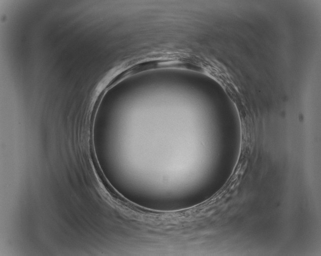 X0000078860003200611131215