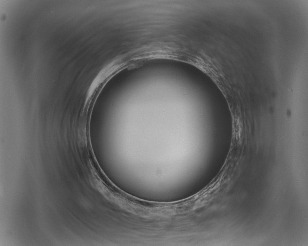 X0000078860004200611131214