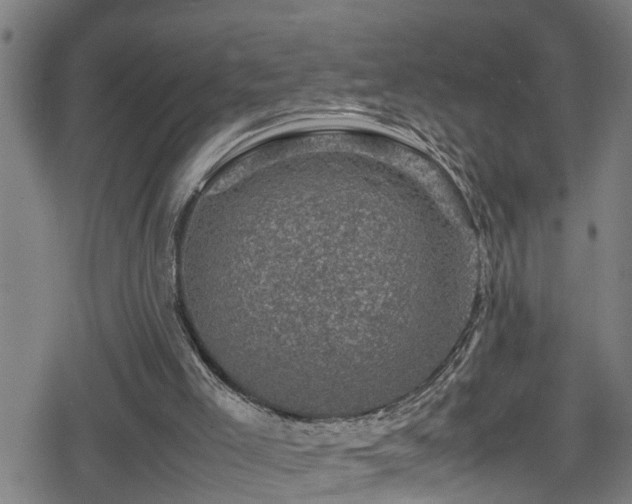 X0000078860005200611131214