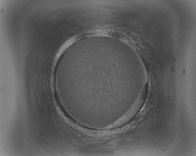 X0000078860006200611131214