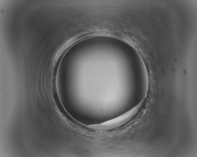 X0000078860007200611131214