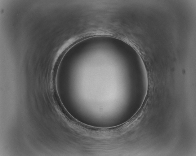 X0000078860008200611131214