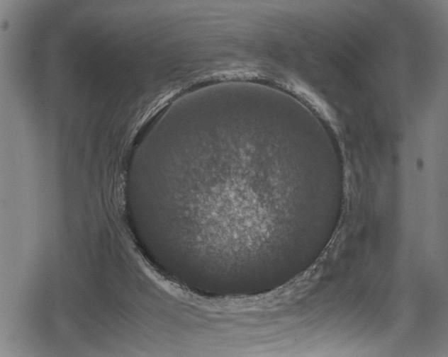 X0000078860009200611131214