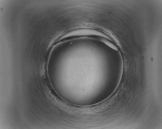 X0000078860010200611131214