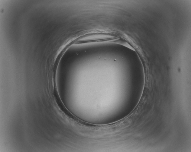 X0000078860011200611131214