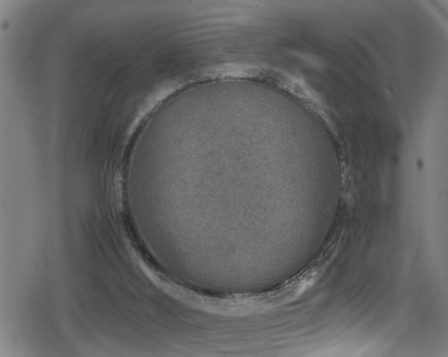 X0000078860012200611131214