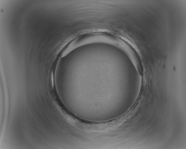 X0000078860013200611131214