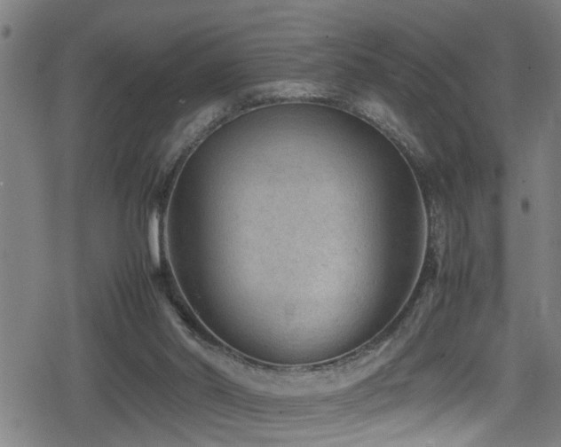 X0000078860014200611131214