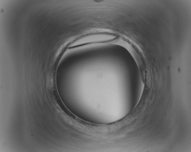 X0000078860015200611131214