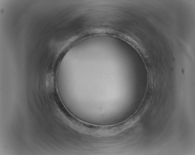 X0000078860016200611131214