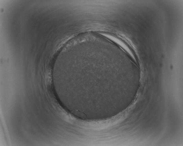 X0000078860017200611131214