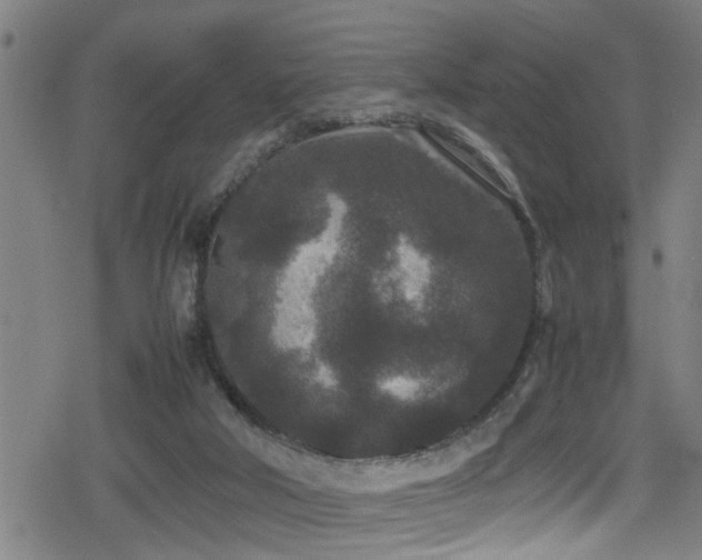 X0000078860018200611131214