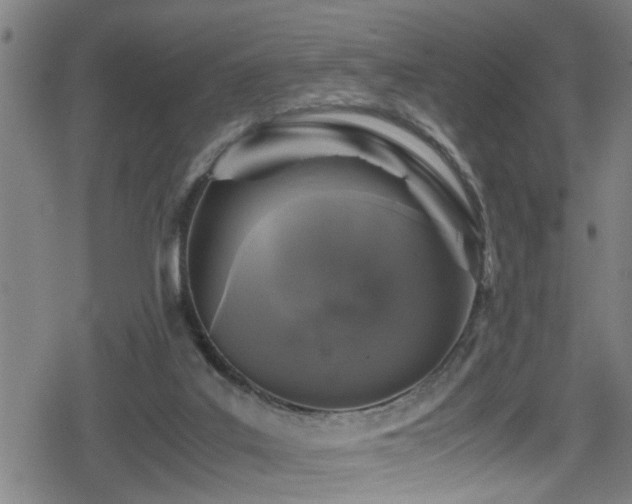 X0000078860019200611131214