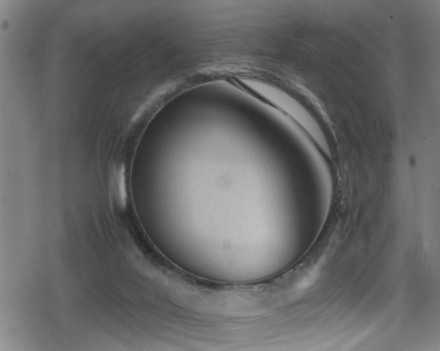 X0000078860020200611131214