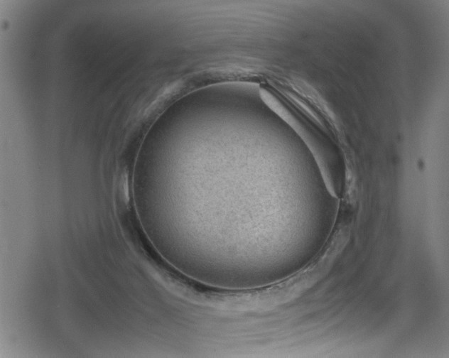 X0000078860021200611131214