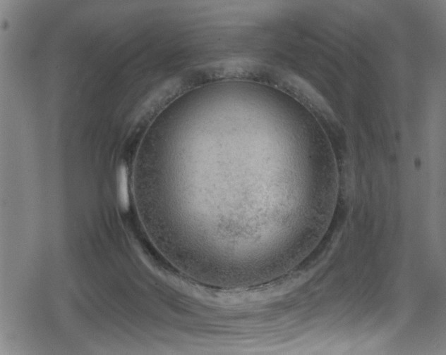 X0000078860022200611131214