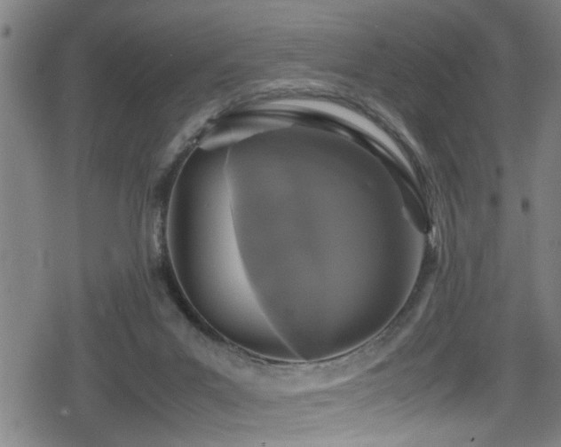 X0000078860023200611131214