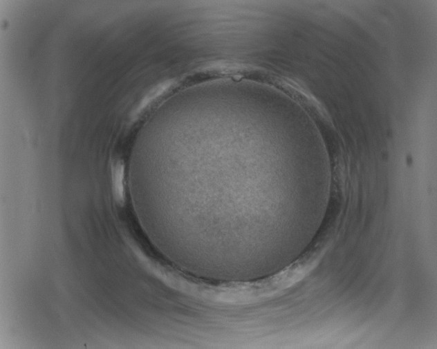 X0000078860024200611131214