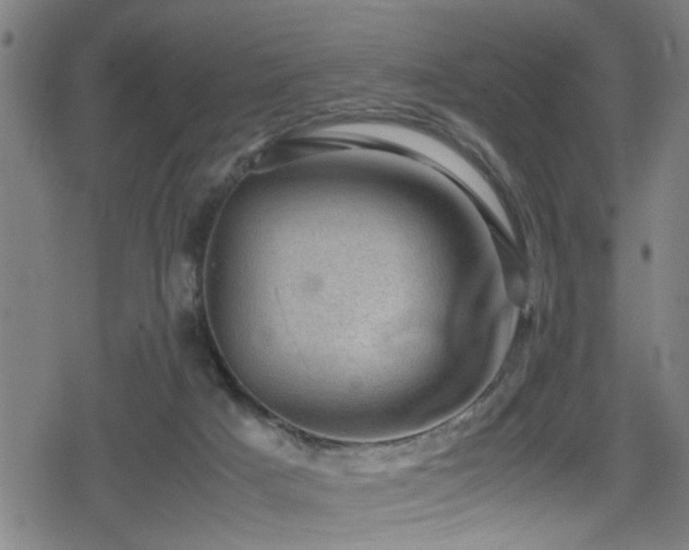 X0000078860025200611131214