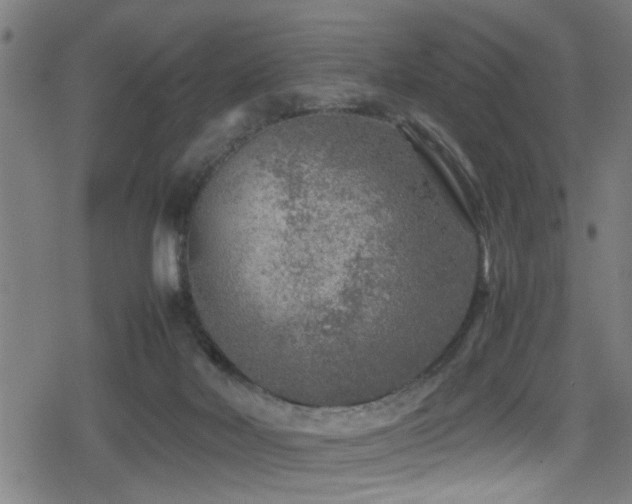 X0000078860026200611131214