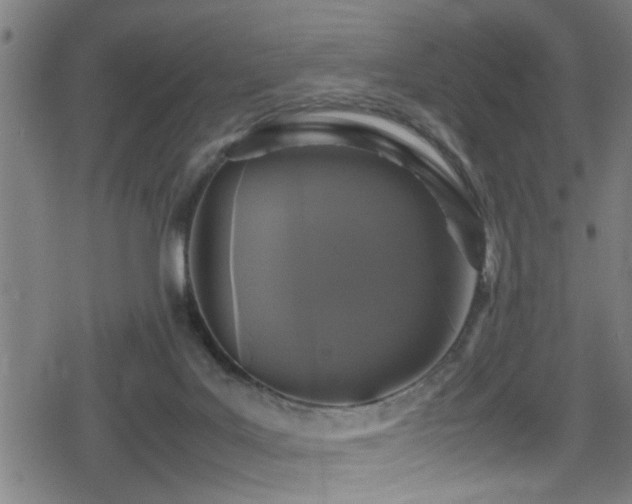 X0000078860027200611131214