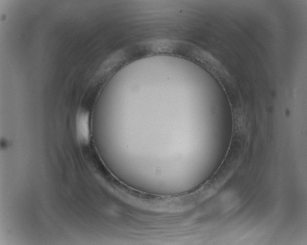 X0000078860028200611131214