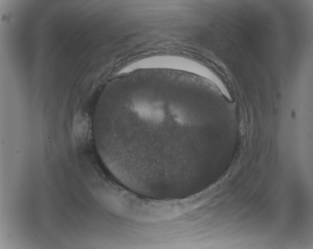 X0000078860029200611131214